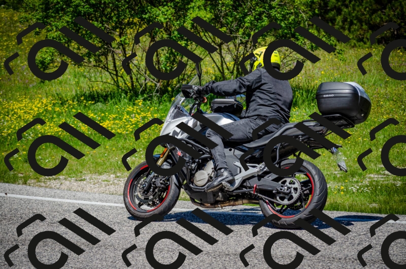 202506011201-DSC_3724_c2