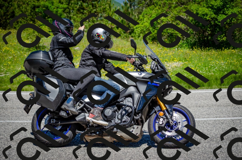 202506011201-DSC_3727_c2