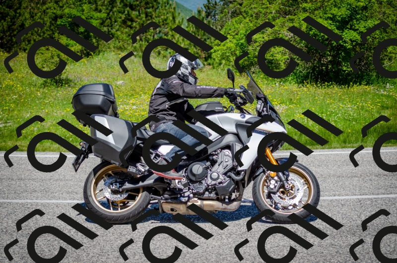 202506011202-DSC_3731_c2