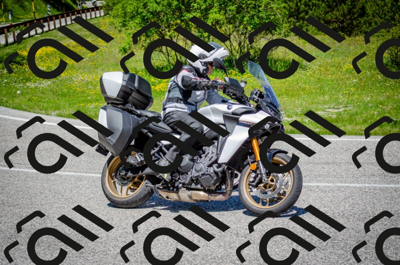 202506011202-DSC_3735_c2