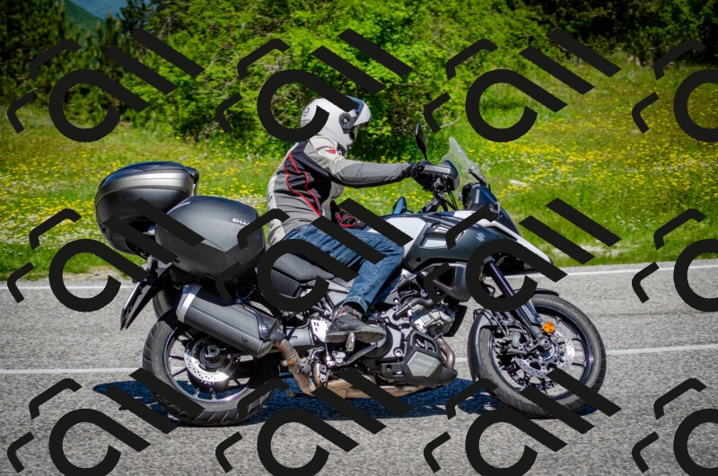 202506011202-DSC_3739_c2