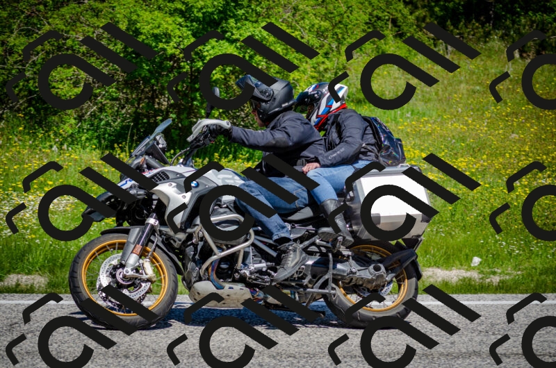 202506011202-DSC_3747_c2