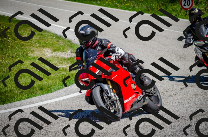 202506011202-DSC_3749_c2