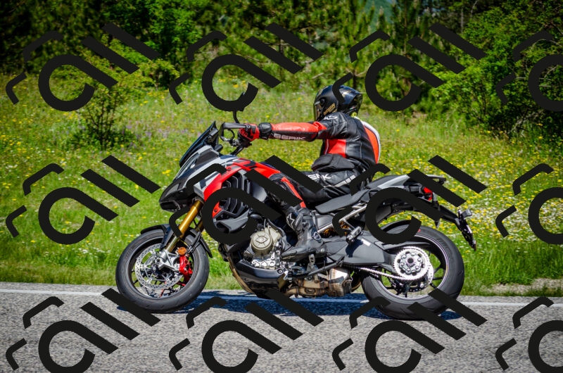 202506011202-DSC_3752_c2