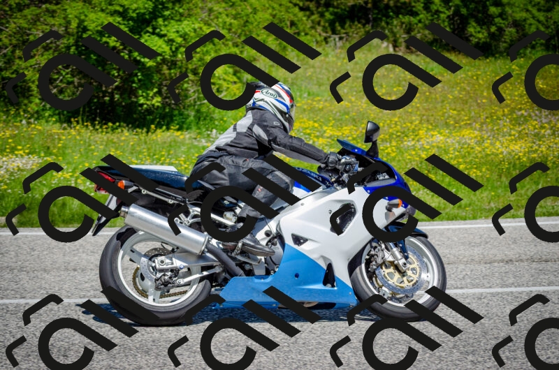 202506011203-DSC_3755_c2