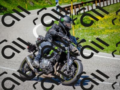 202506011203-DSC_3756_c2