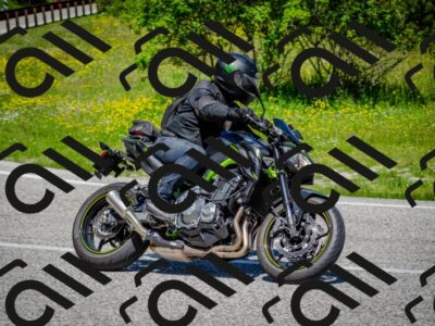 202506011203-DSC_3757_c2