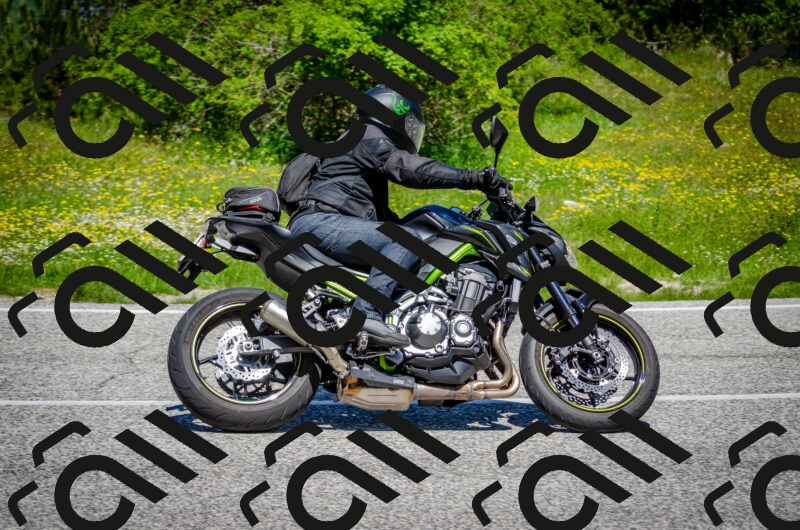 202506011203-DSC_3758_c2