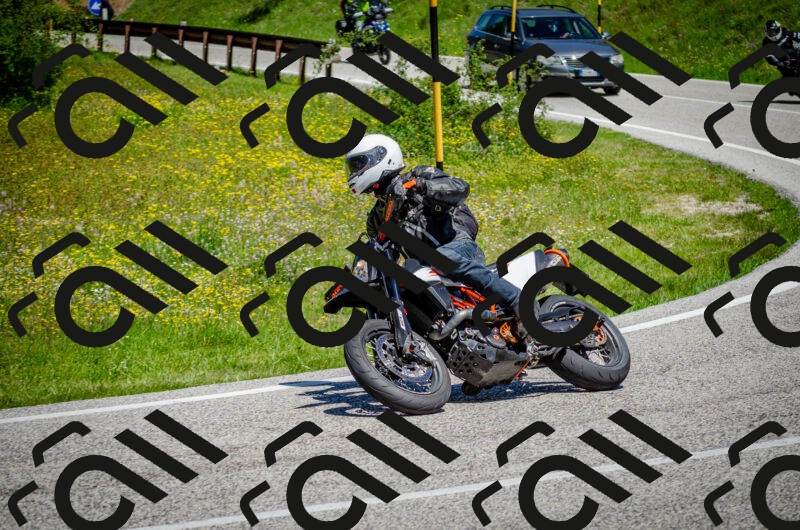 202506011203-DSC_3762_c2