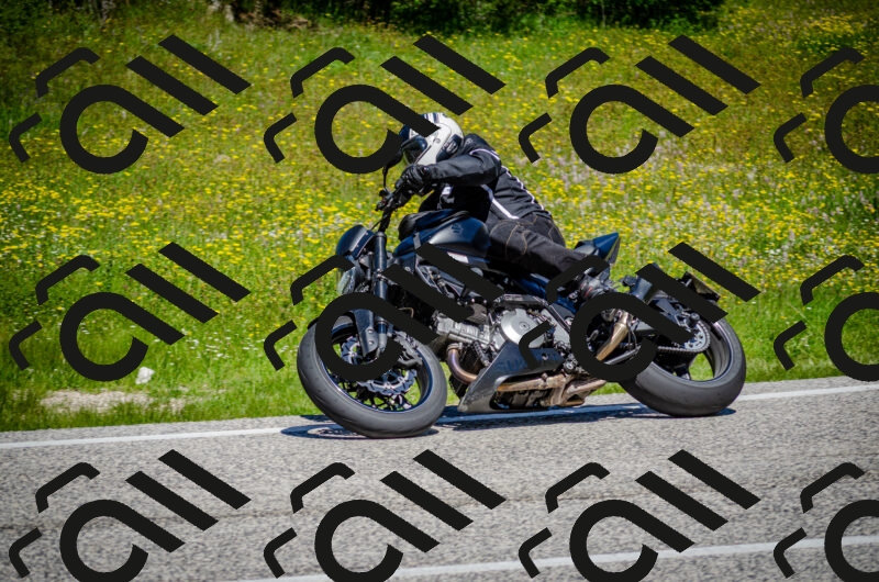 202506011204-DSC_3765_c2