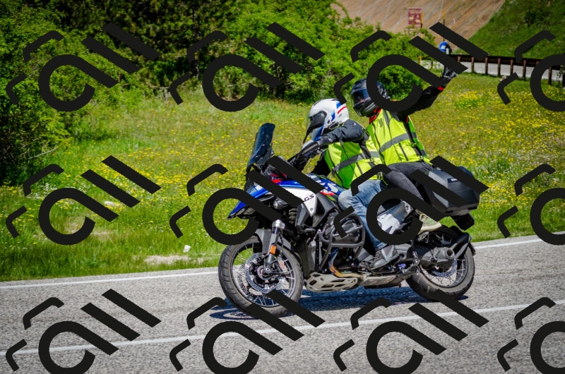 202506011204-DSC_3768_c2