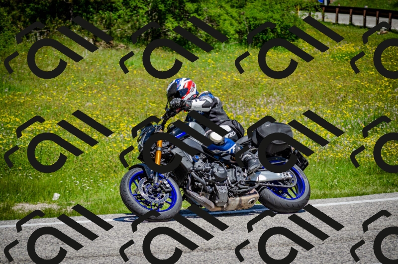 202506011204-DSC_3772_c2