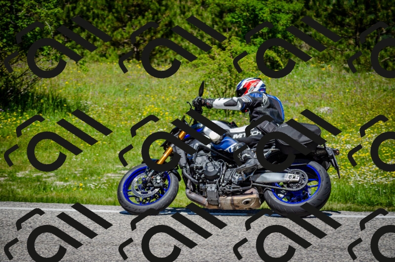 202506011204-DSC_3773_c2