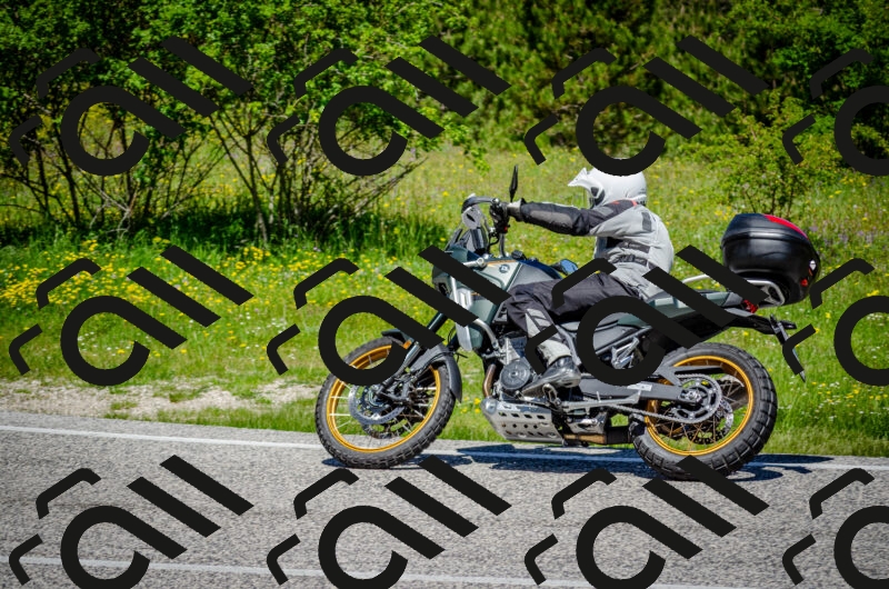 202506011204-DSC_3784_c2