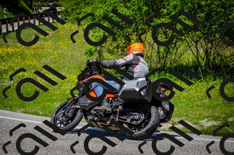 202506011204-DSC_3786_c2