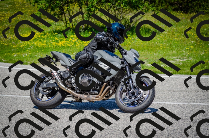 202506011204-DSC_3791_c2