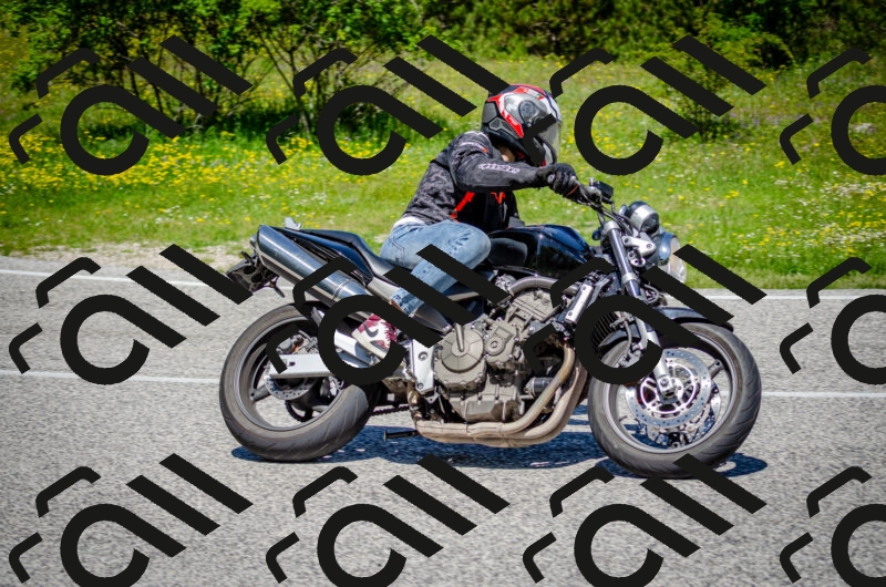 202506011204-DSC_3794_c2