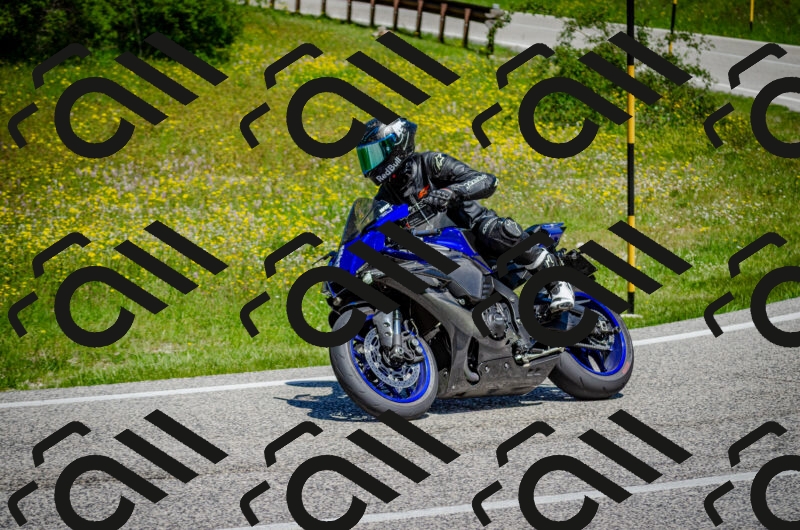 202506011206-DSC_3806_c2