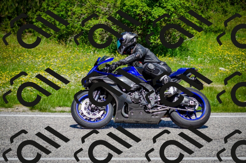 202506011206-DSC_3807_c2