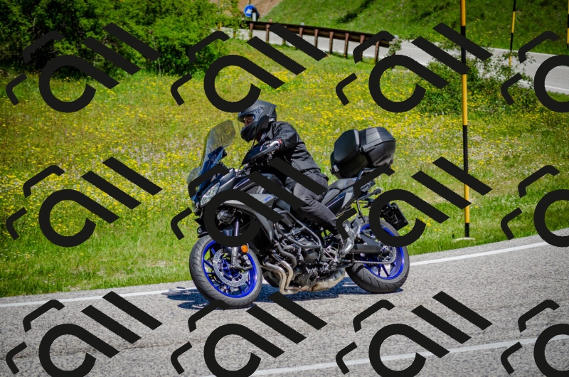 202506011208-DSC_3820_c2