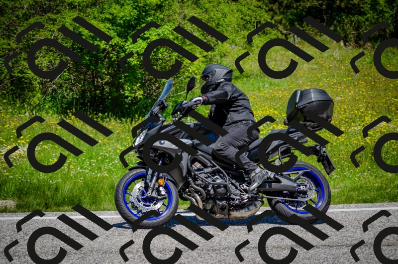 202506011208-DSC_3821_c2