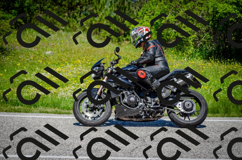 202506011208-DSC_3823_c2