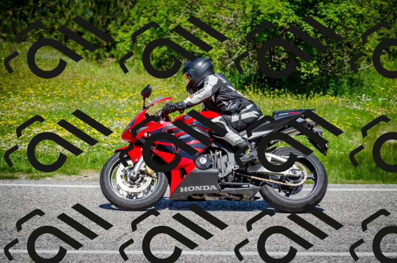 202506011208-DSC_3824_c2