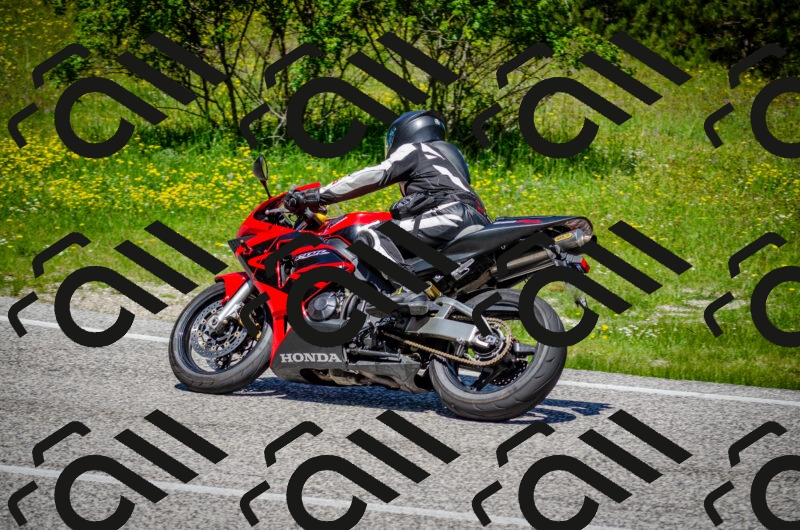 202506011208-DSC_3825_c2