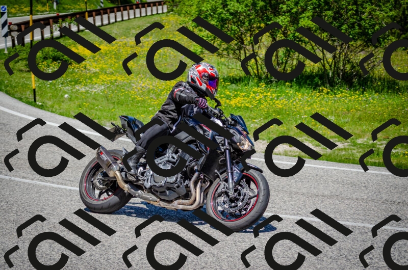 202506011208-DSC_3827_c2