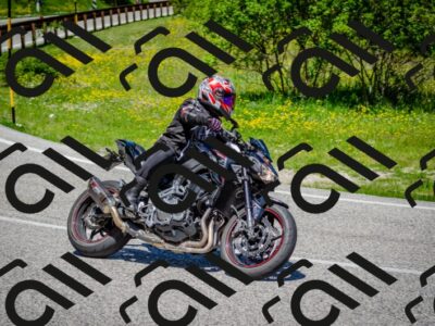 202506011208-DSC_3827_c2