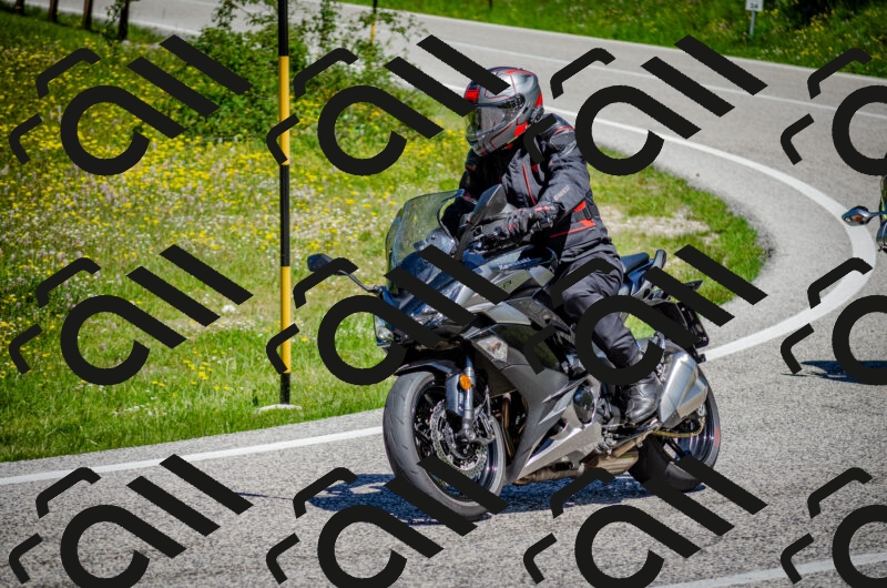 202506011209-DSC_3839_c2