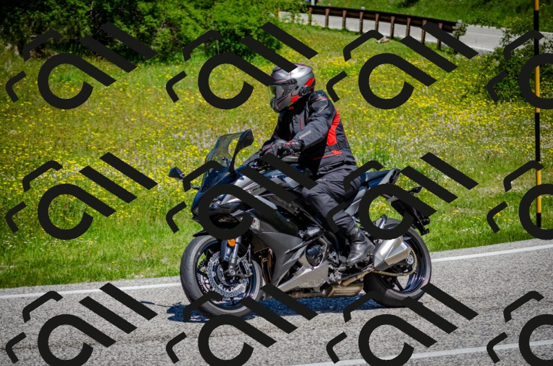 202506011209-DSC_3840_c2