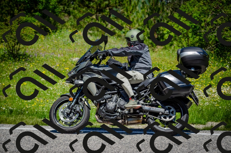 202506011209-DSC_3843_c2