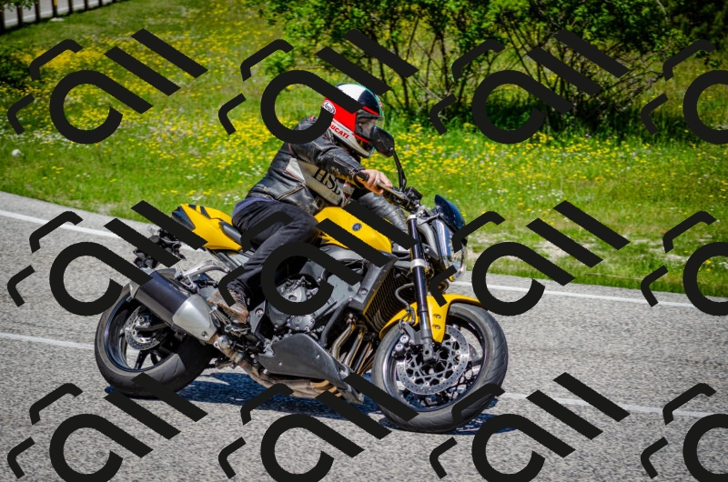 202506011209-DSC_3845_c2