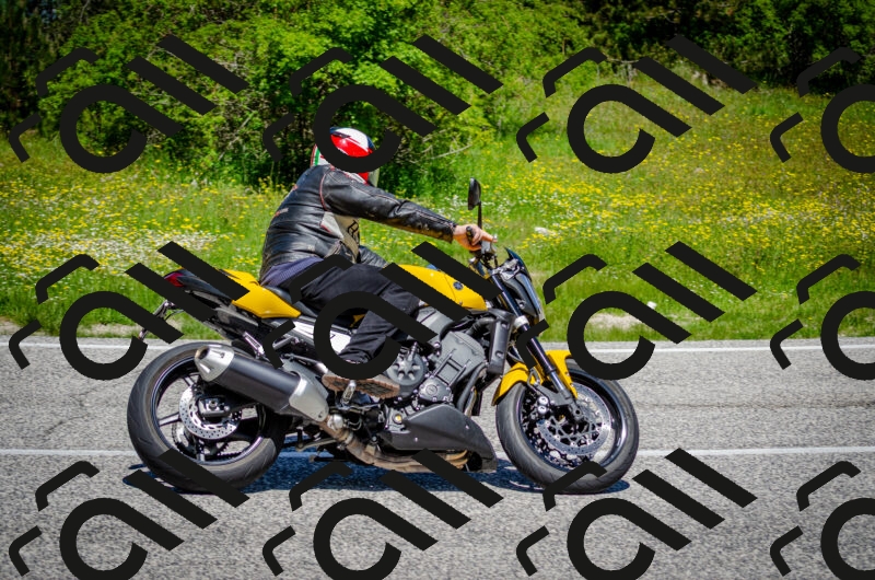 202506011209-DSC_3846_c2