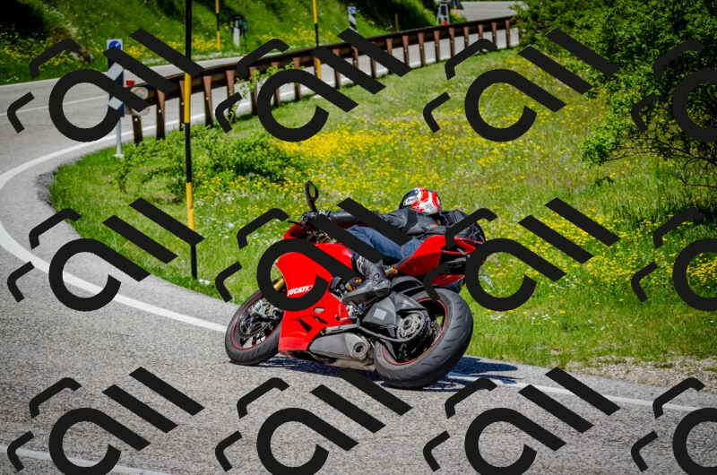 202506011210-DSC_3858_c2