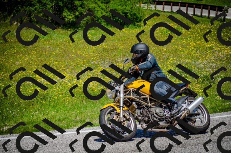 202506011210-DSC_3860_c2