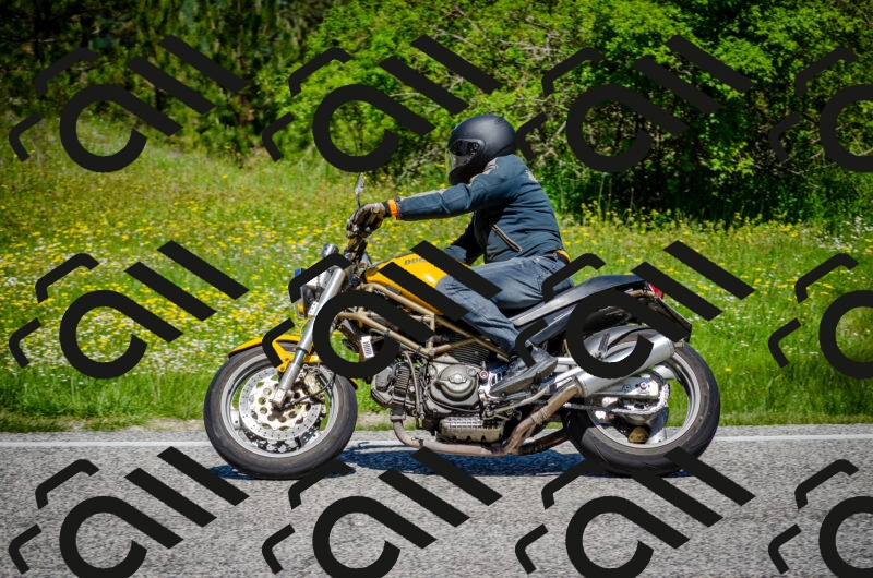 202506011210-DSC_3861_c2