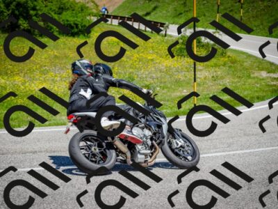 202506011210-DSC_3864_c2