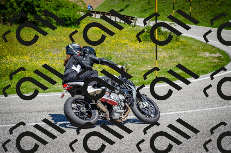 202506011210-DSC_3864_c2