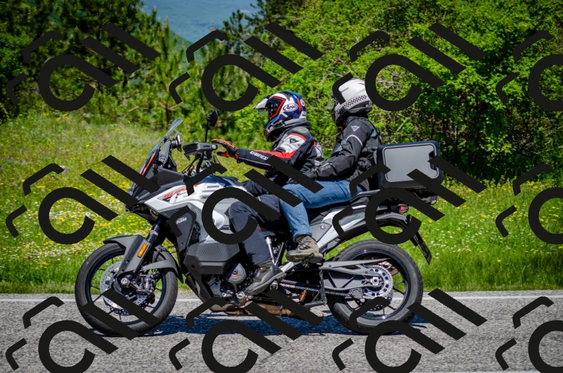 202506011211-DSC_3869_c2