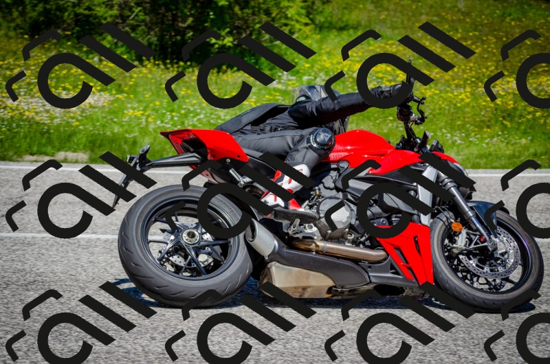 202506011211-DSC_3878_c2