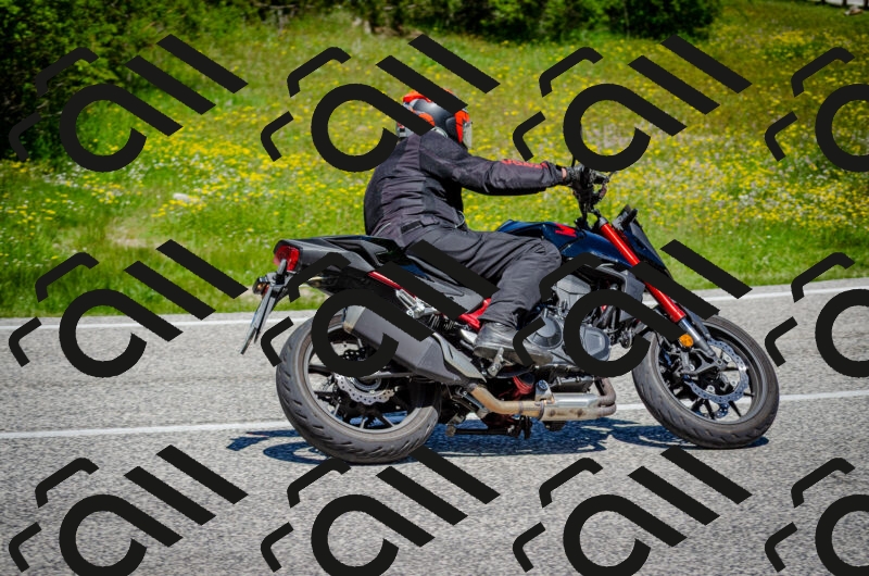 202506011212-DSC_3882_c2