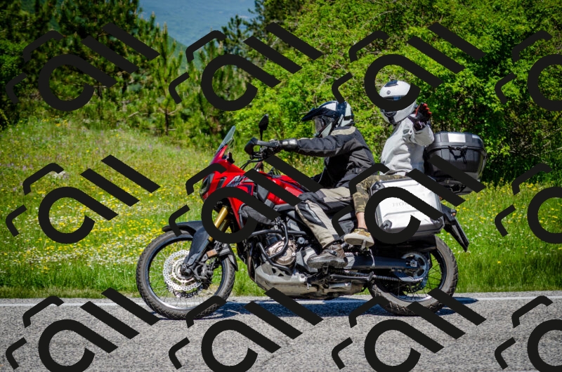 202506011212-DSC_3891_c2