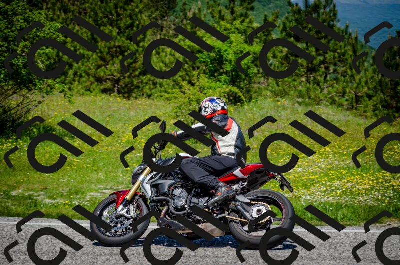 202506011212-DSC_3892_c2