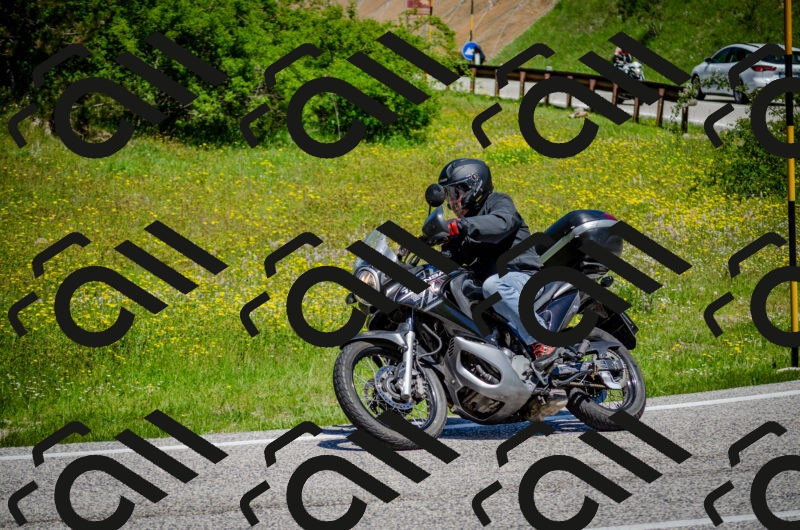 202506011212-DSC_3895_c2