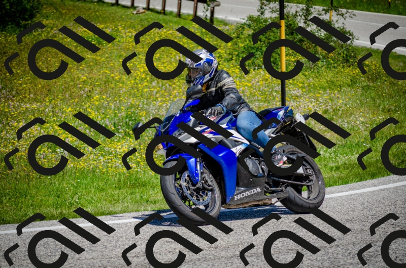 202506011212-DSC_3897_c2