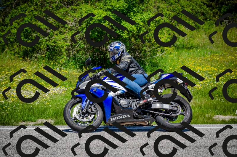 202506011212-DSC_3898_c2