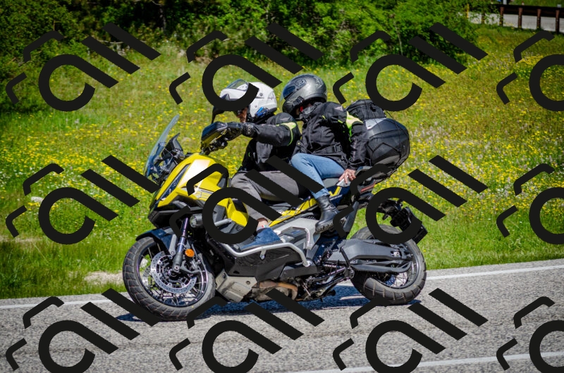 202506011213-DSC_3909_c2