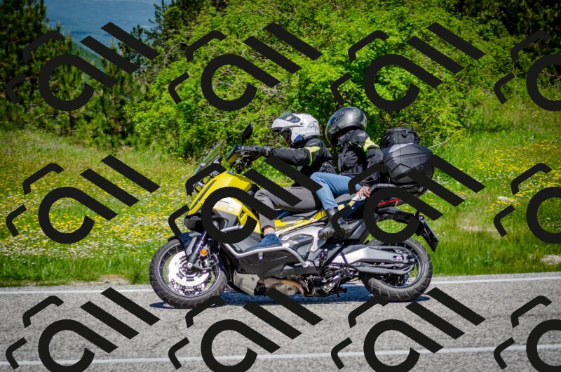 202506011213-DSC_3910_c2